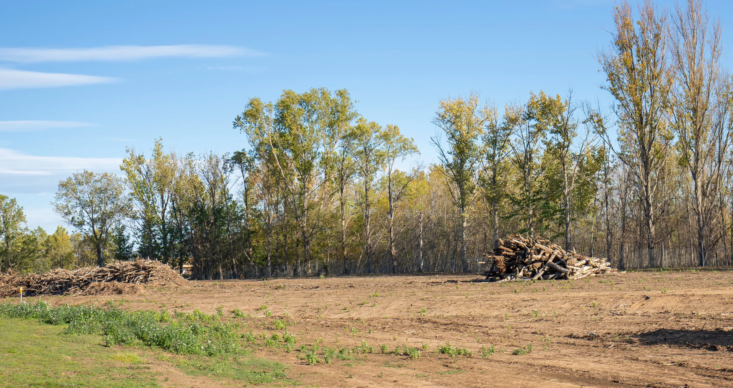 Land clearing project in Dallas removing trees and debris for new construction