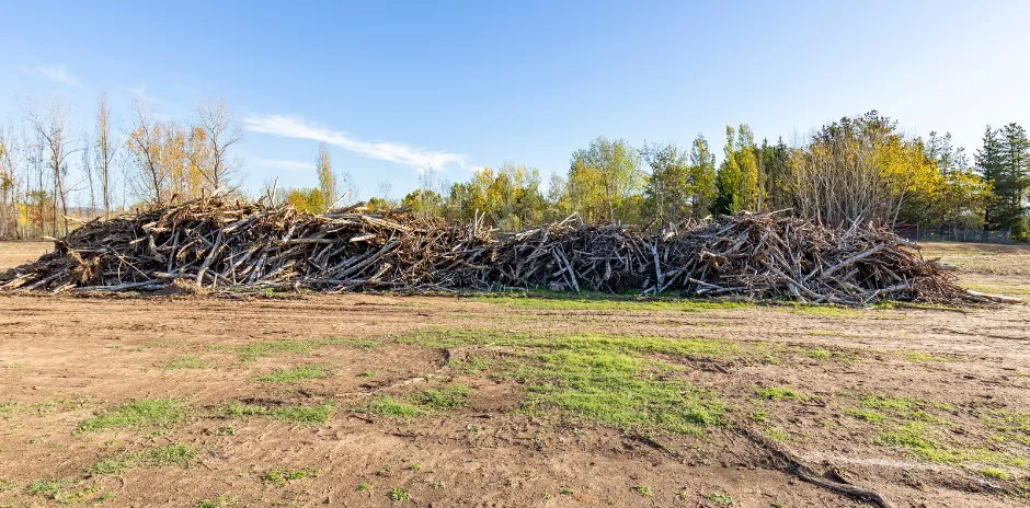 Land clearing project in Dallas with removed trees and debris prepared for hauling
