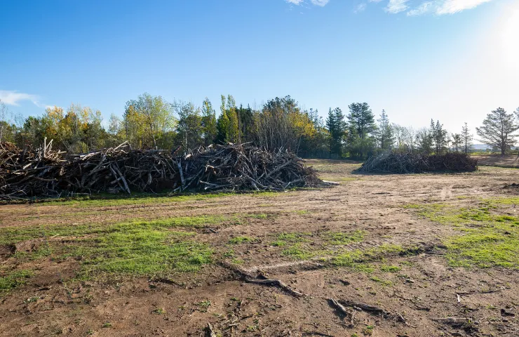 Land clearing project in Dallas TX removing trees brush and debris for construction-ready lots